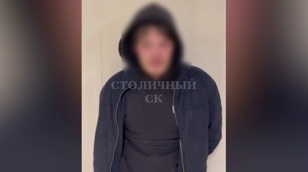 Telegram / Столичный СК