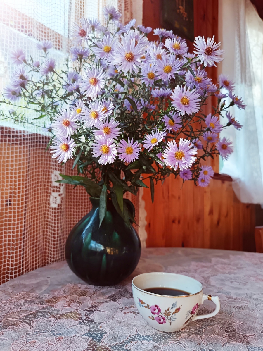 Доброе утро на даче 2024