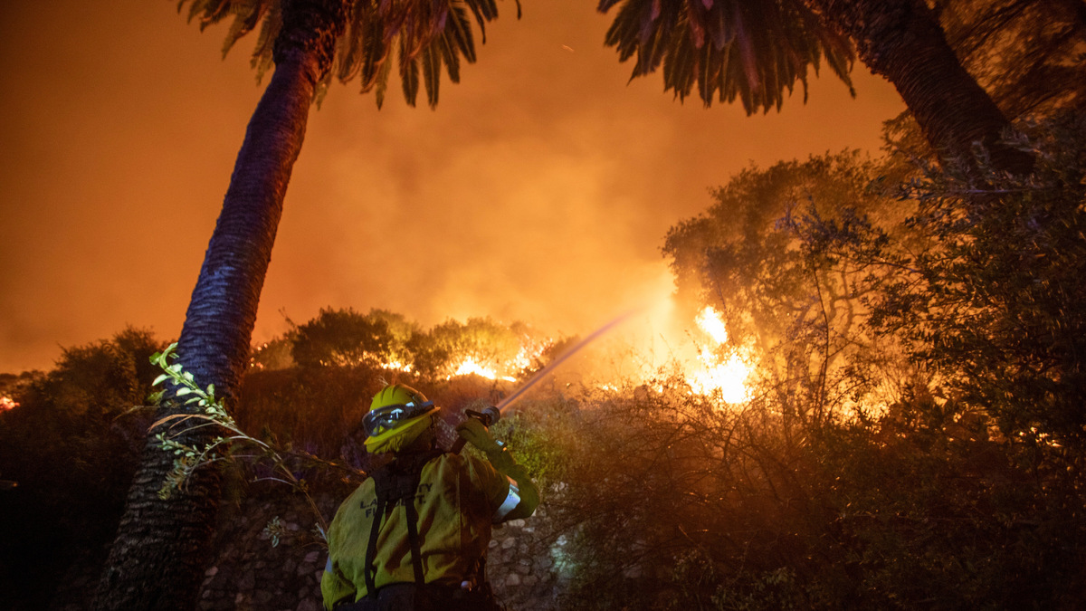 Фото: Ringo Chiu / Shutterstock / Fotodom 