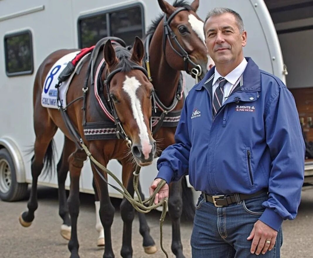 Проблемы перевозки лошадей через границы и как их решить без стресса для животных