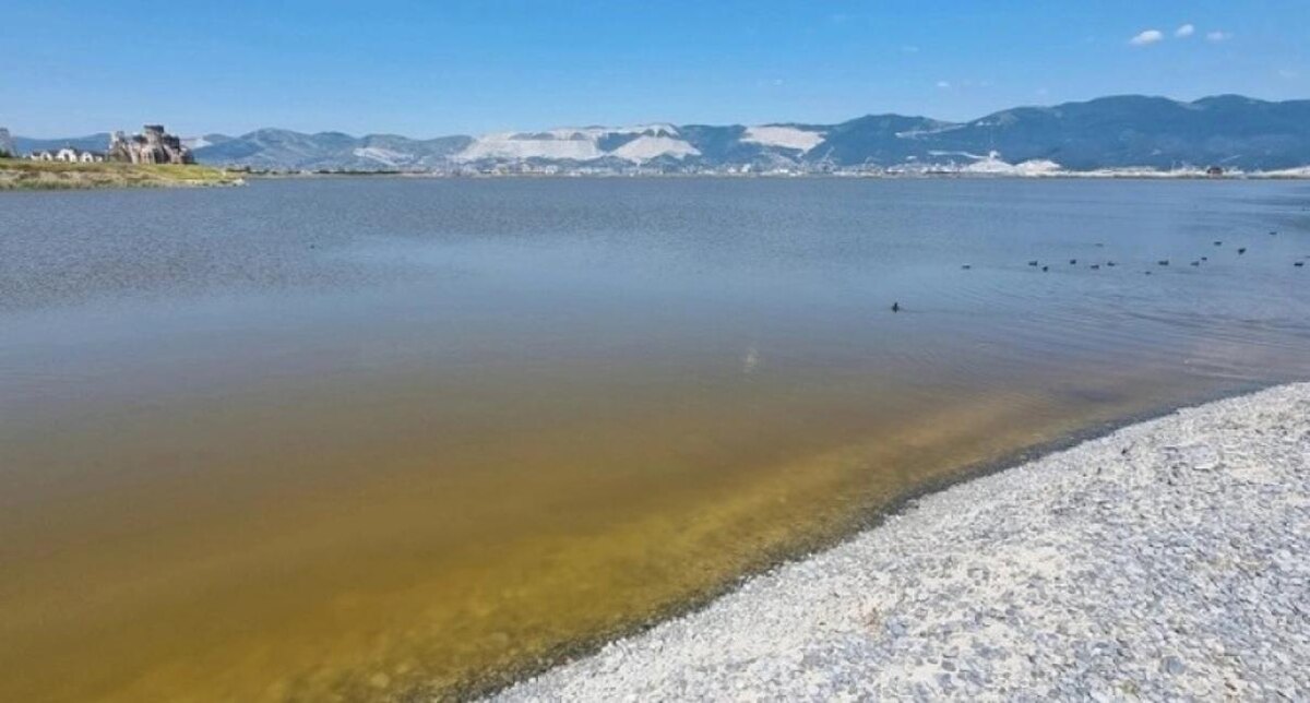 Фото: Наша газета Новороссийск