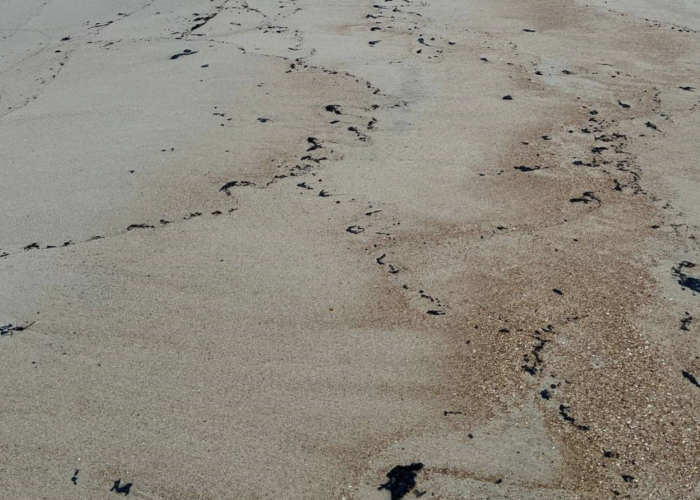    оперативный штаб Краснодарского края