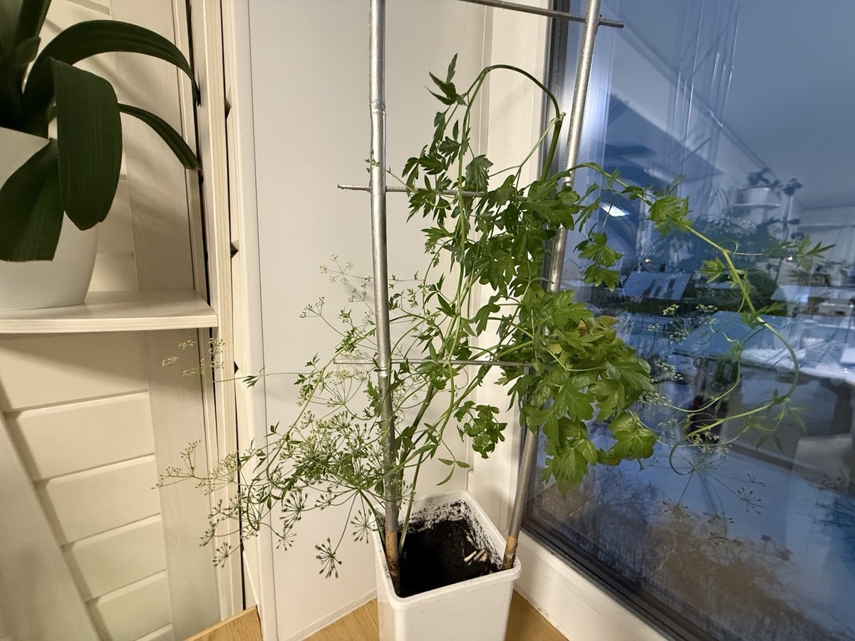 Фото из личного архива