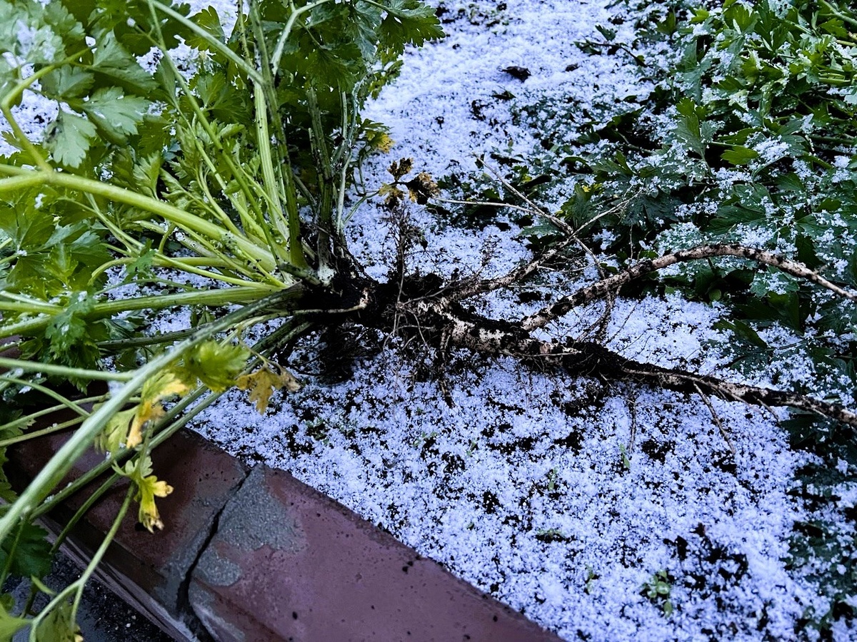 Фото из личного архива