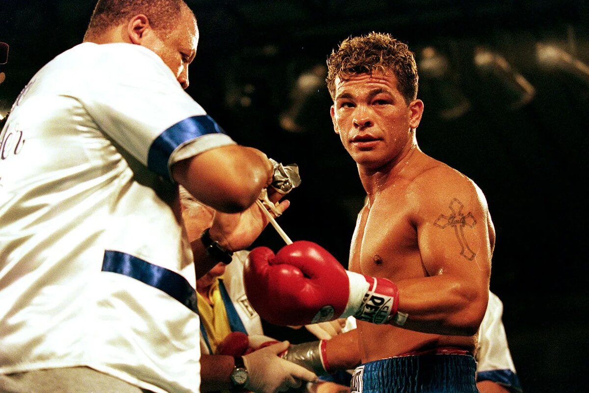 фото: открытый источник