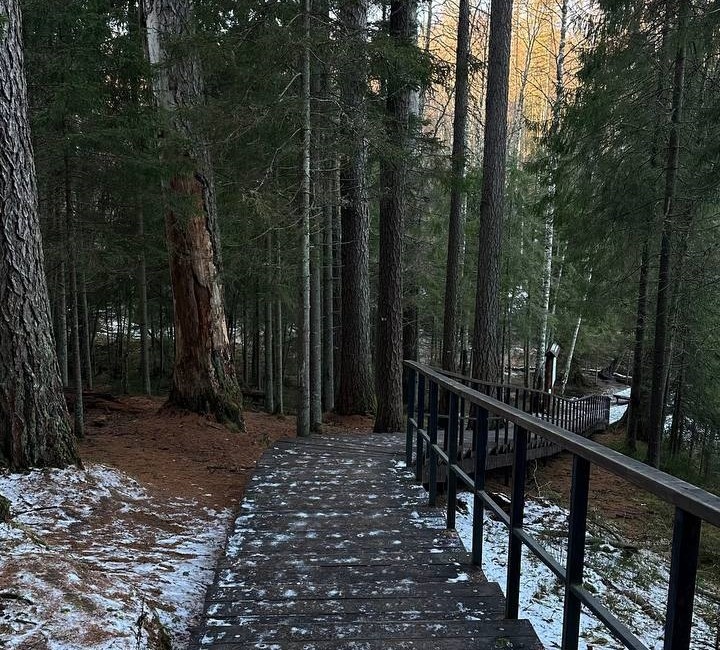 линдуловская роща