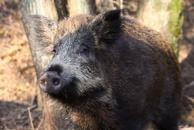   Фото из архива Калининград.Ru