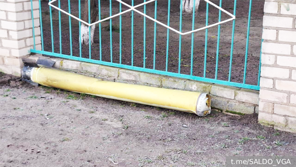     Фото: t.me/SALDO_VGA   
 Текст: Валерия Городецкая