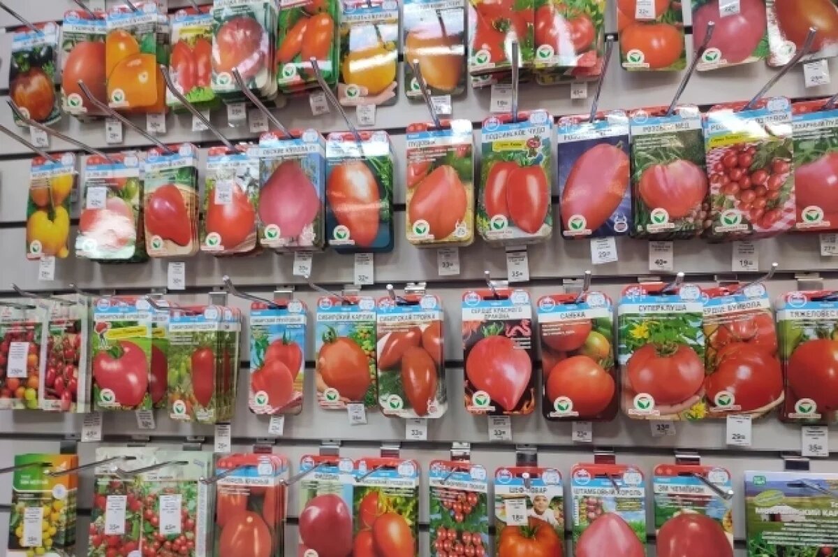    В Россельхознадзоре рассказали, как правильно выбрать семена для урожая