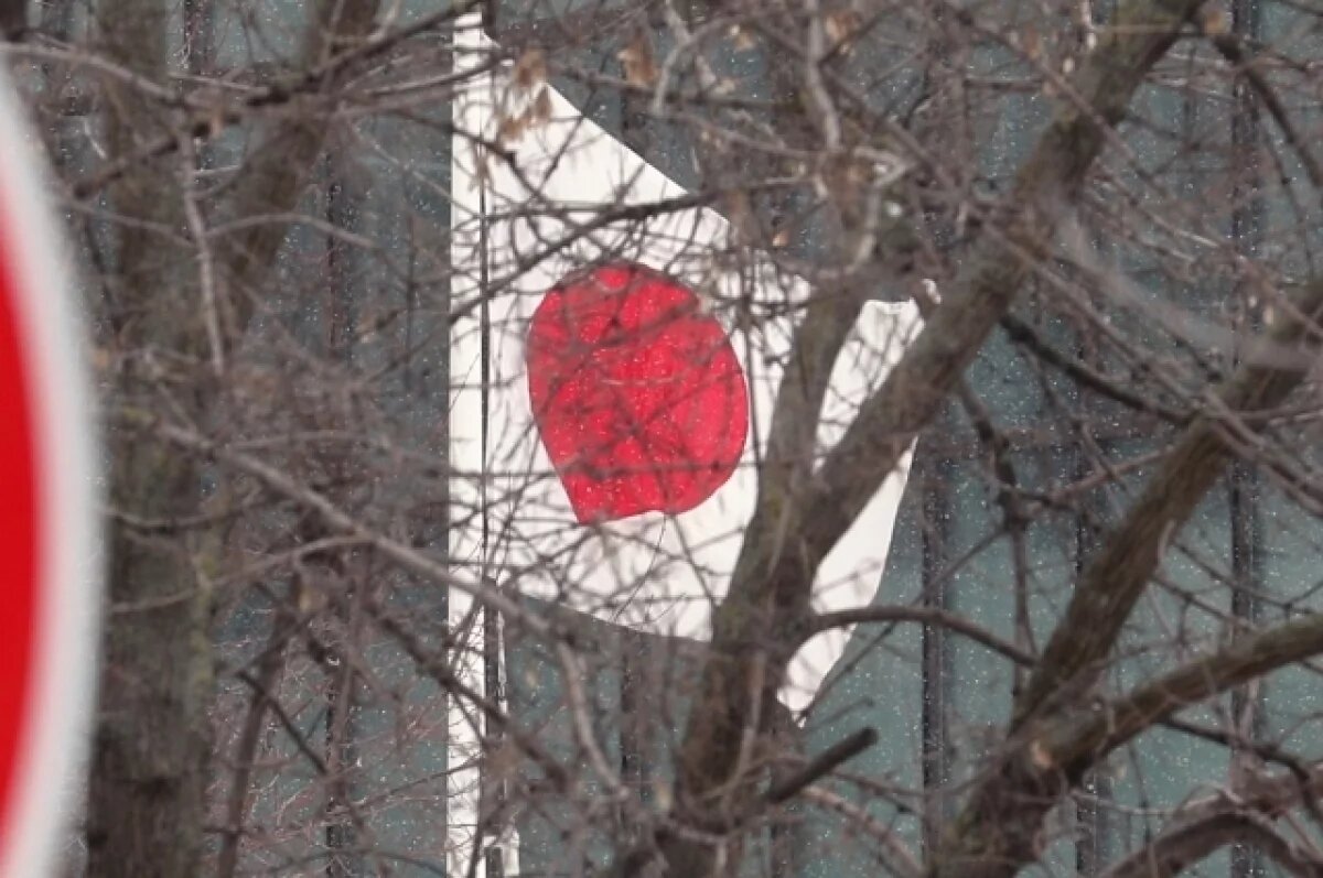    МИД: РФ готова к диалогу с Японией при отказе от антироссийской политики