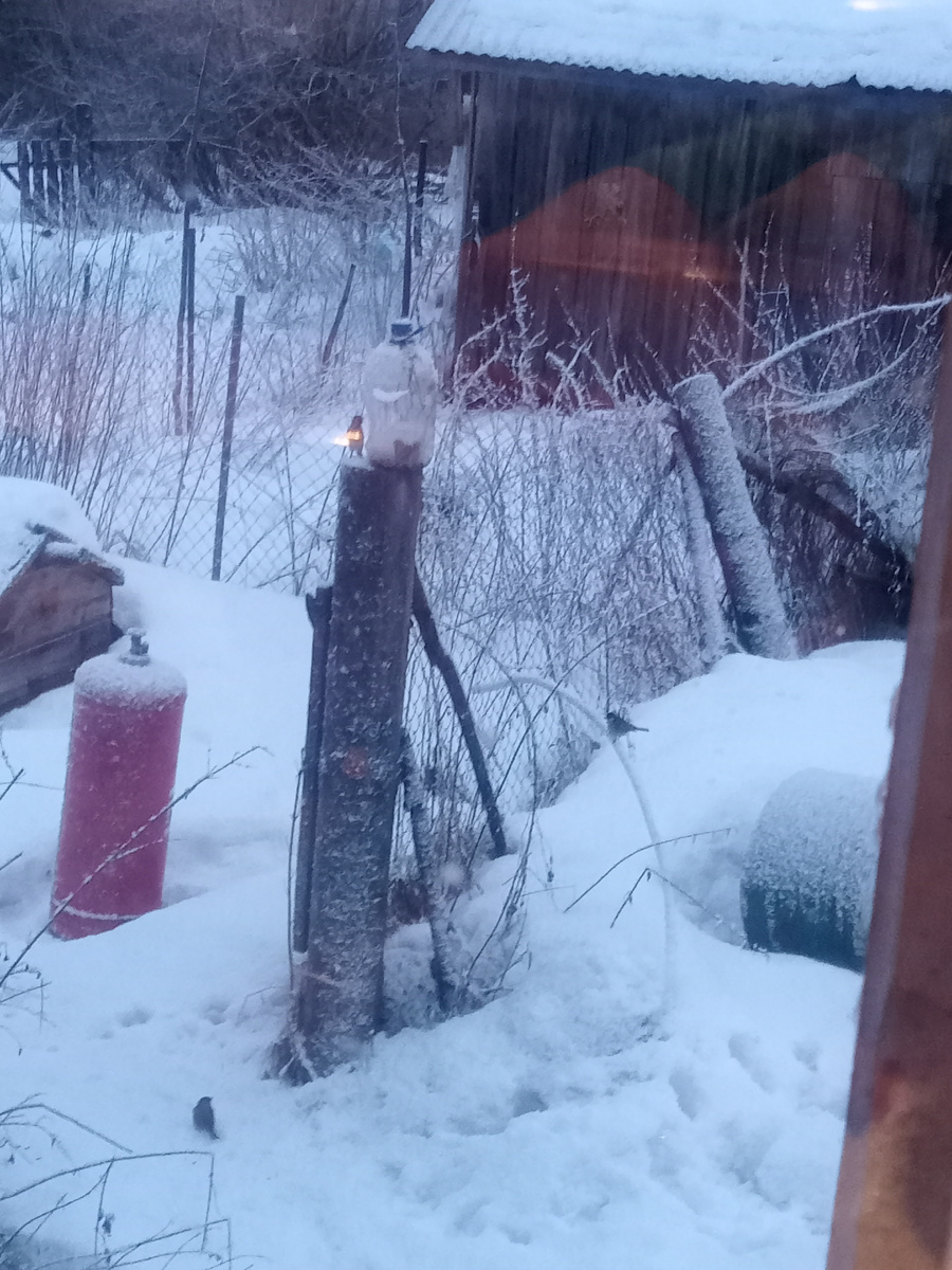 Ближе к вечеру пошла на прогулку с собакой уже слегка подстыло и не так сыро,и вот такой закат наблюдала