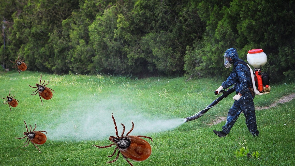    Как избавиться от клещей на дачном участке раз и навсегда