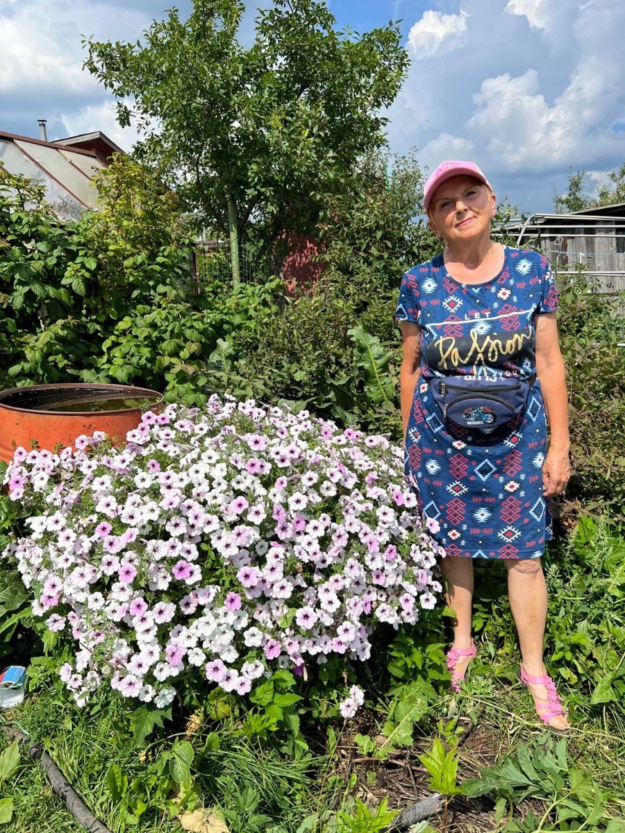 Тайдал Вейв Сильвер в 200 литровой бочке 2 растения.