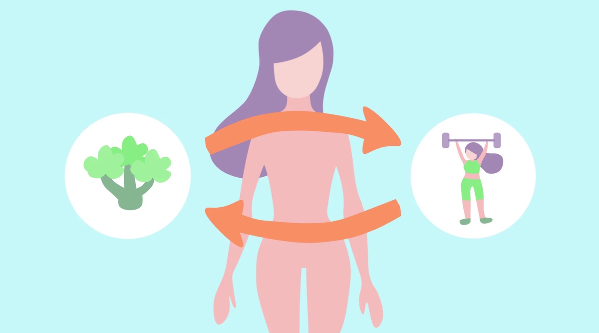 Метаболизм женщины