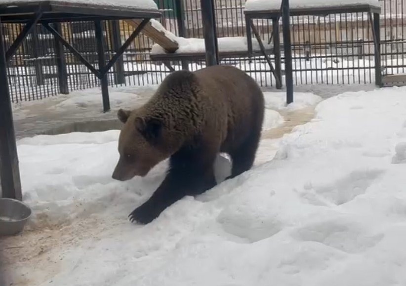    Фото: Росприроднадзор