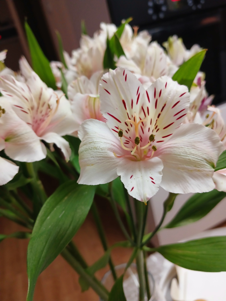 "Доброе утро, мир! Ты прекрасен!" Фото автора