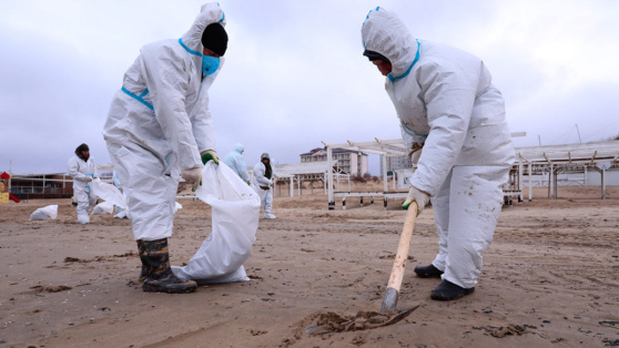    На пляжах в Анапе обнаружили повторные выбросы мазута Виктория Шварц