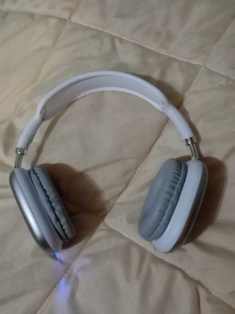           Вот как выглядят сами наушники 