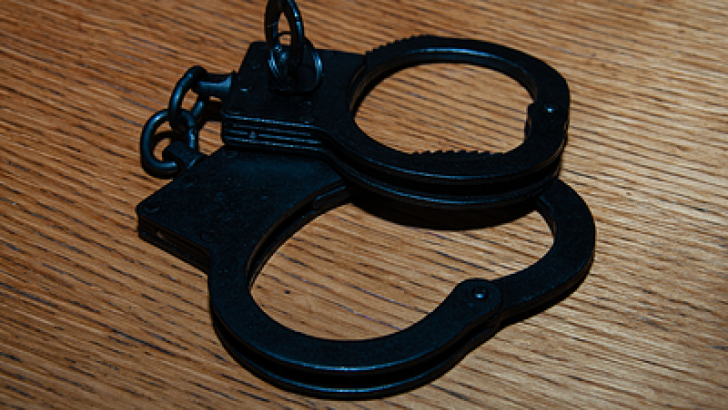    Фото: Svetlana Vozmilova/Globallookpress