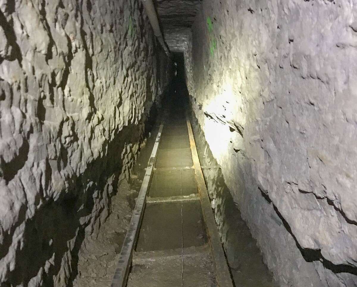     / Источник: © Global Look Press