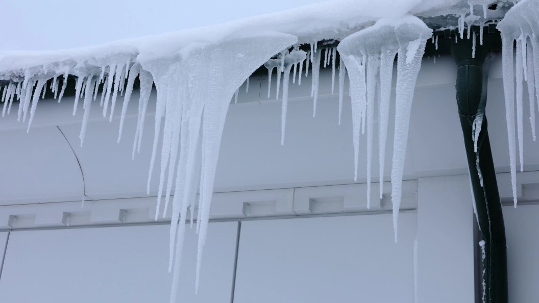    фото: Elena Mayorova/Global Look Press