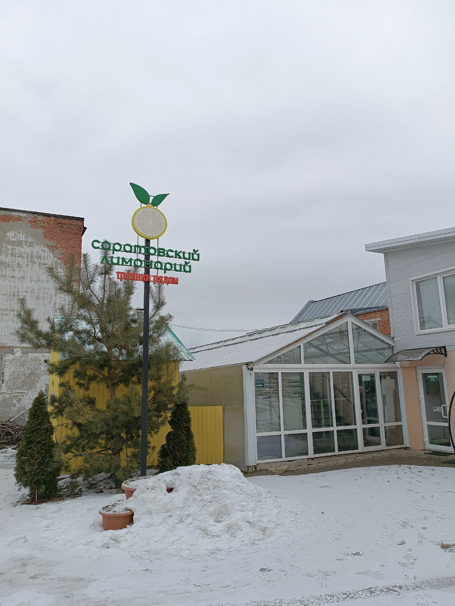 Адрес: г. Саратов, ул. Б. Сеченская, д.6В