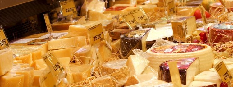    Всемирный день любителей сыра 20 января: факты о пользе этого продукта для здоровья