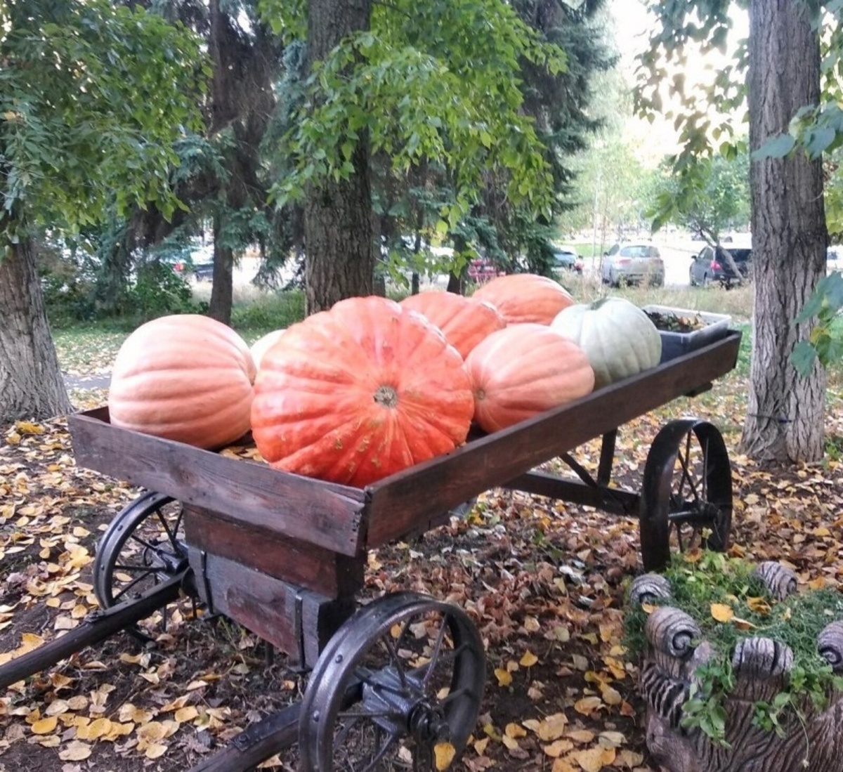 
Фото: Галарина