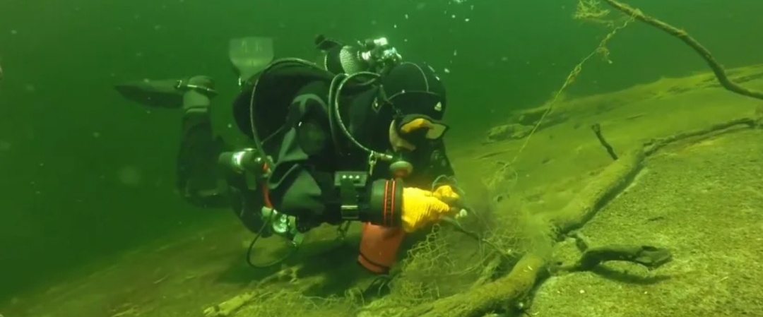 Фото из открытых источников