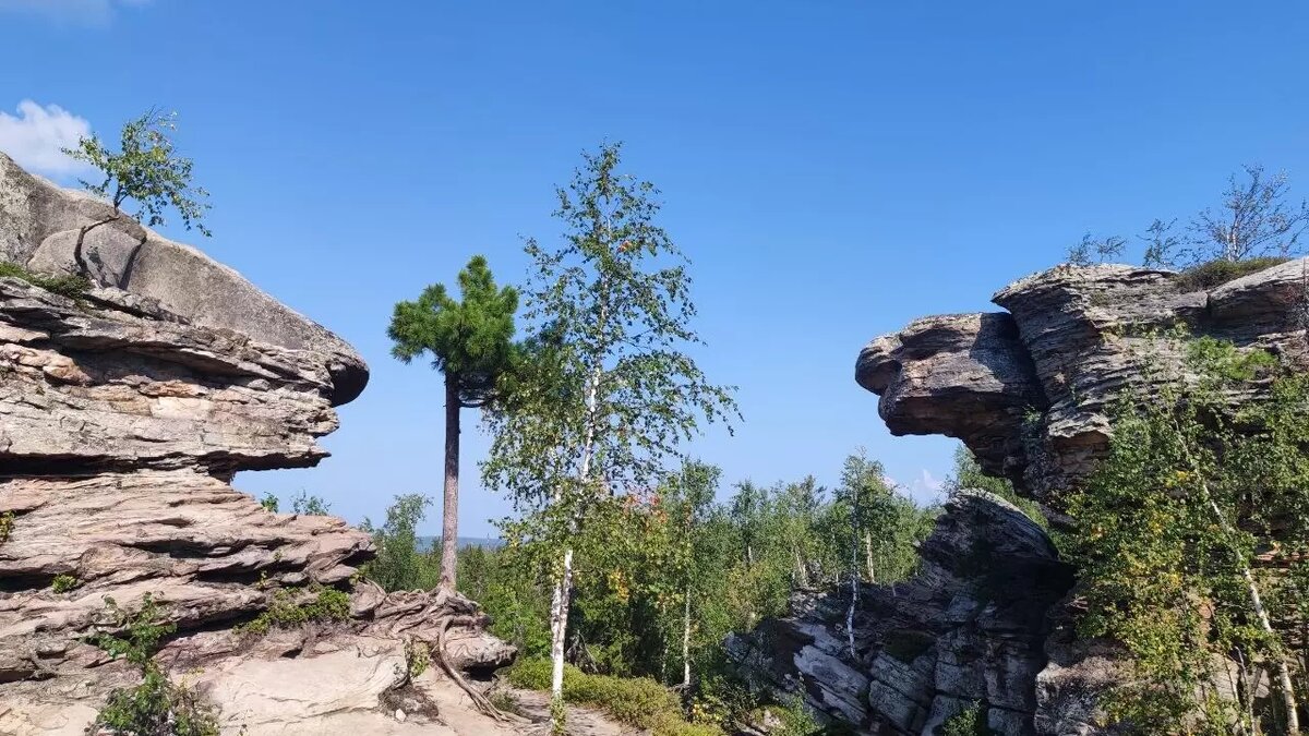     Источник: properm.ru