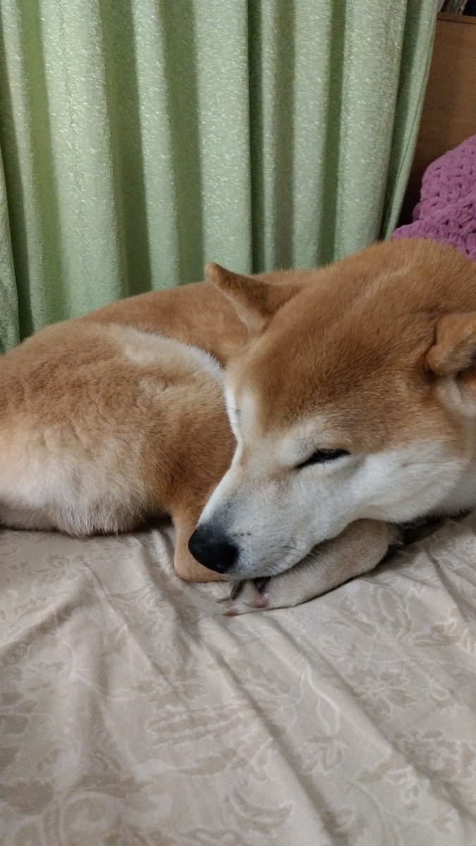 Фото Наташи Р.