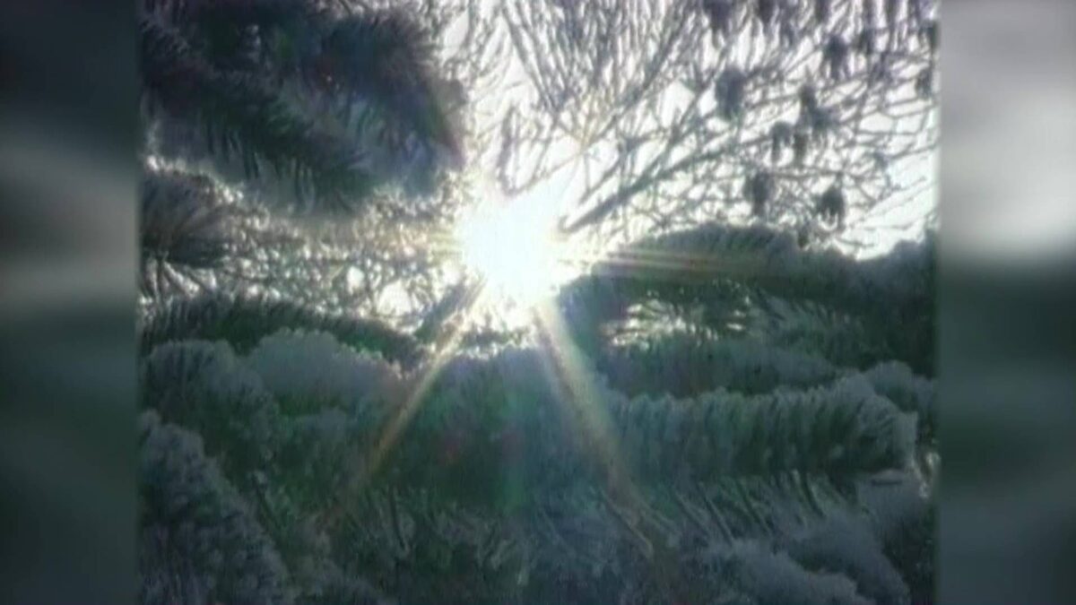    В Башкирии подвели итоги оперативно-профилактической операции «Ель-2024»