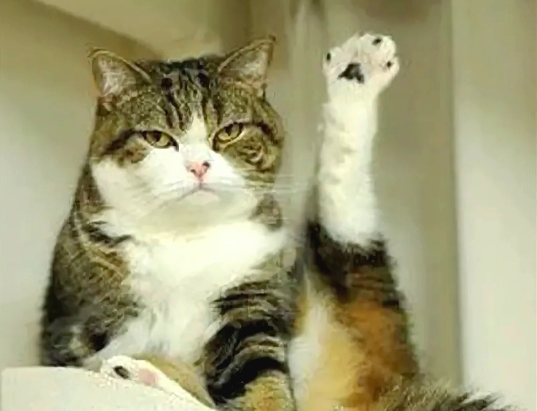 Ну что, всем привет что ли! Просим нас любить и жаловать