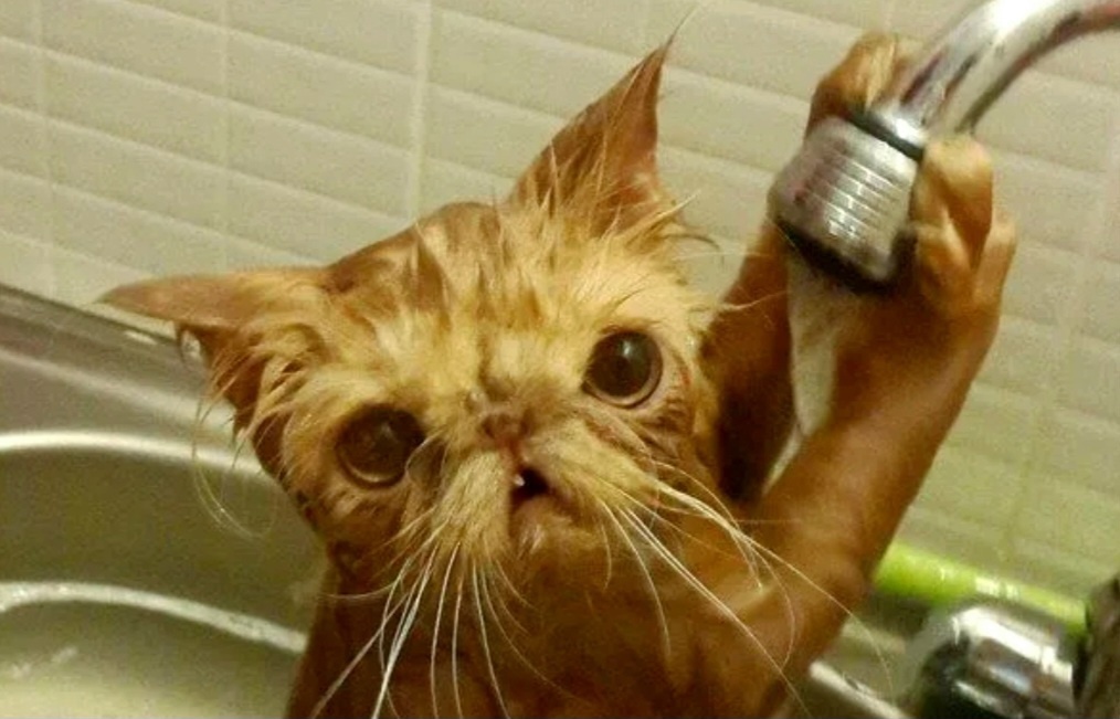 Спаси меня, что стоишь и фоткаешь? ->->->