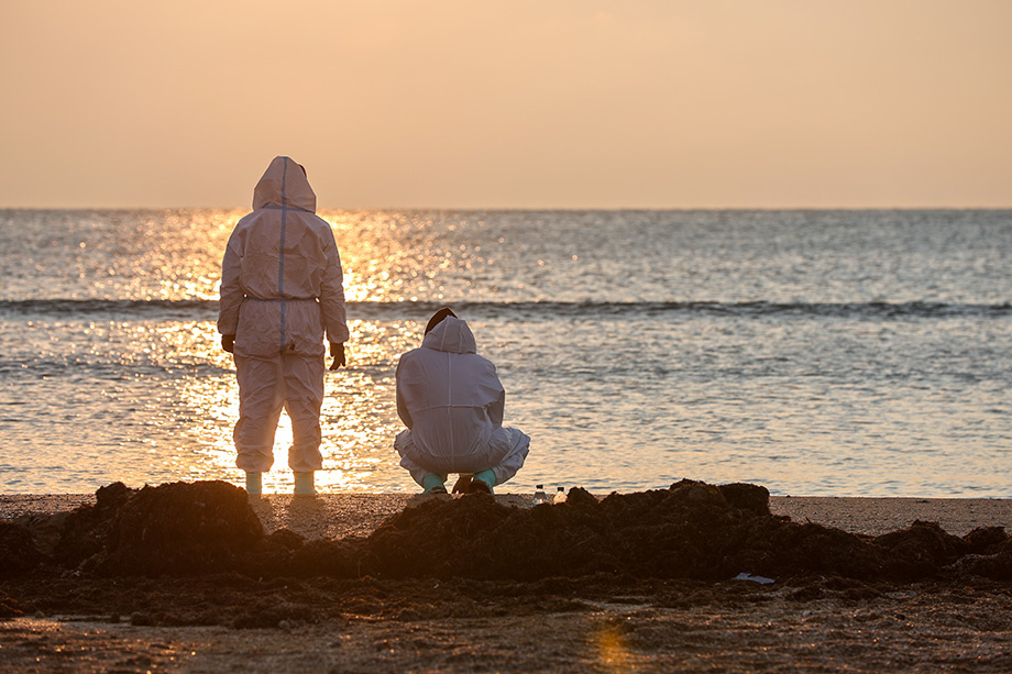 Туристы начали терять интерес к отдыху на море из-за новостей об экокатастрофе.  | Фото: Алексей Белкин/NEWS.ru/ТАСС