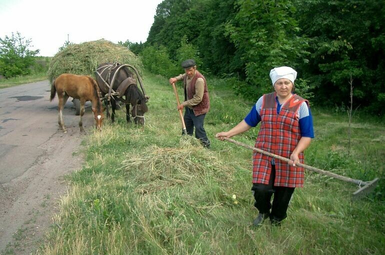   Игорь Самохвалов/ПГ