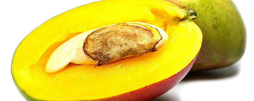 Секреты выбора манго для посадки