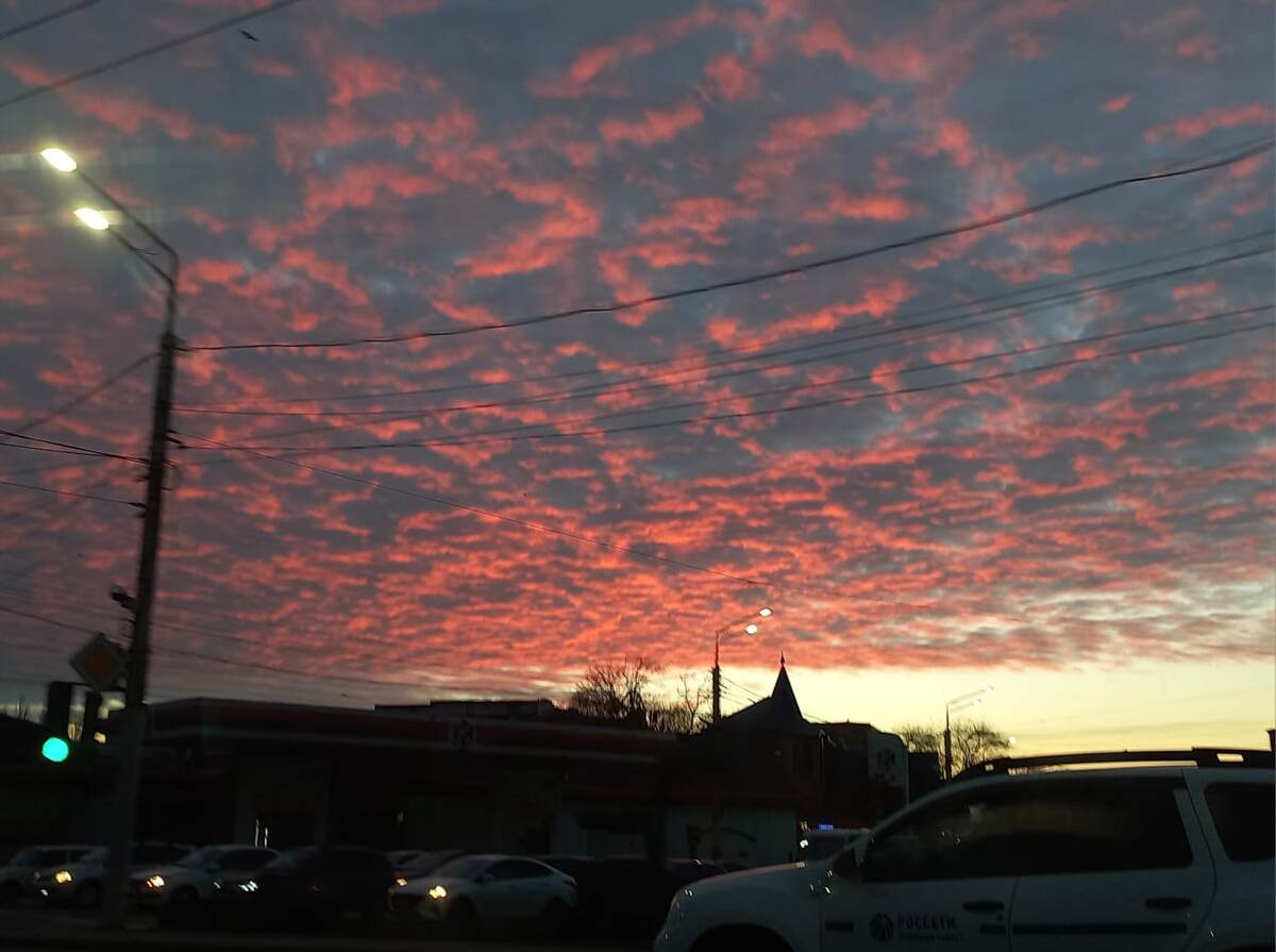 Архив автора