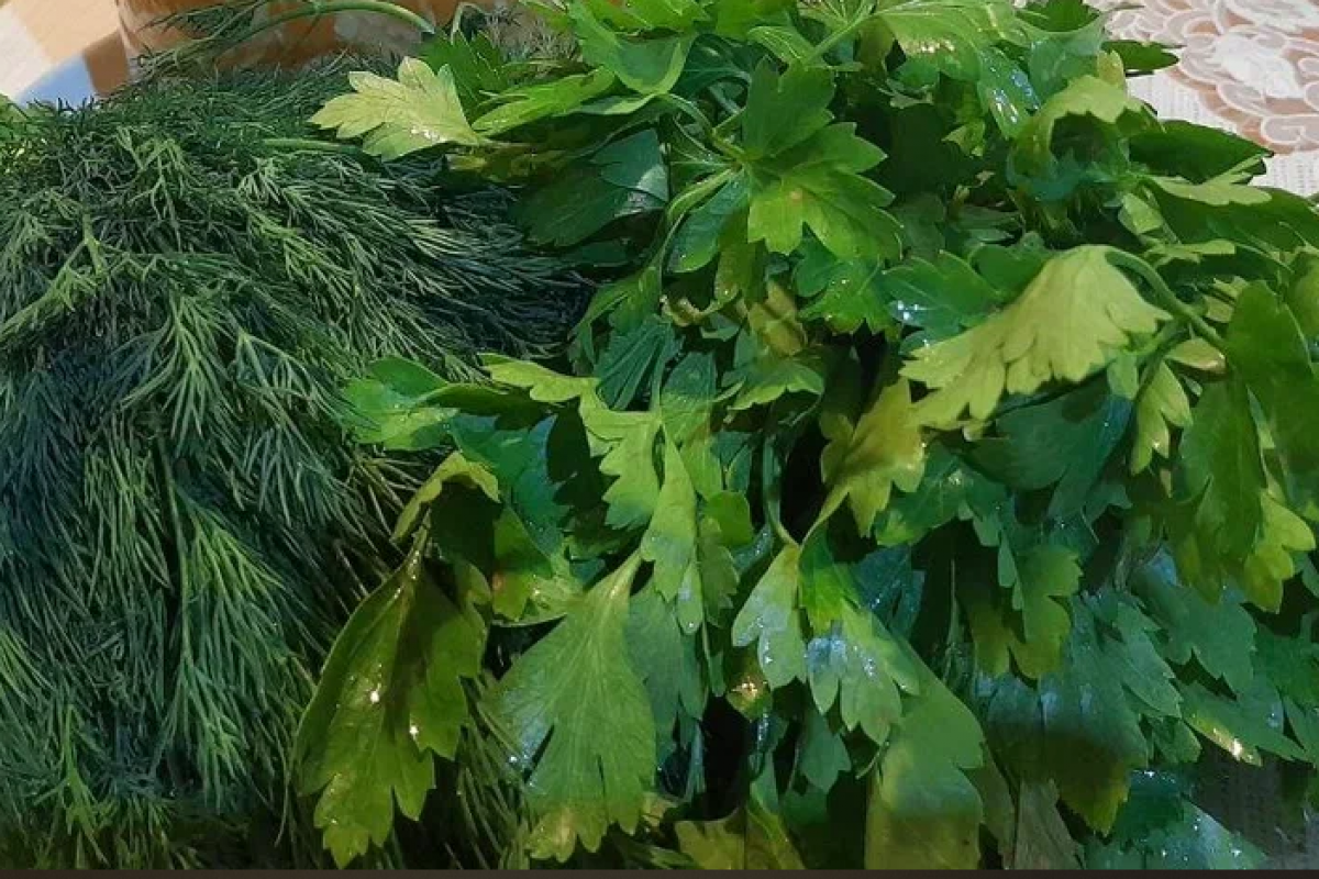 Фото: "Регион 71"