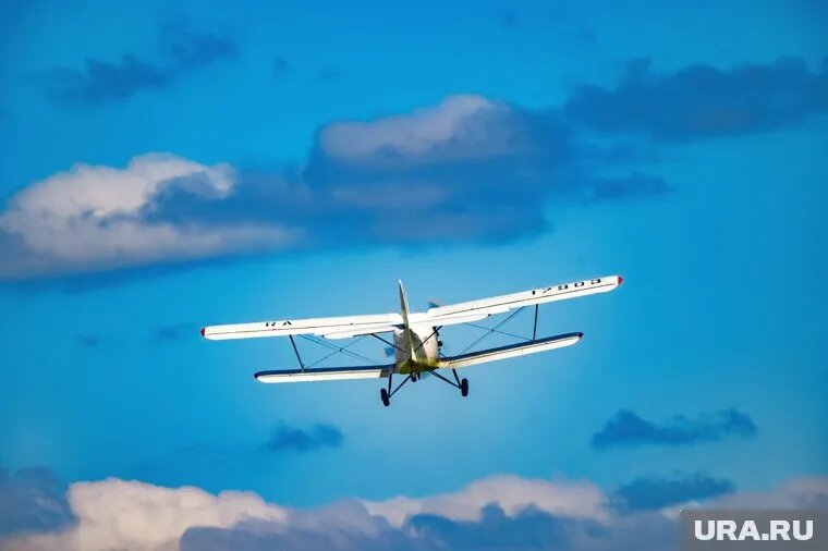 Командир самолета Ан-2 первым узнал пол будущего ребенка супругов из Кургана. Фото: Руслан Яроцкий © URA.RU
