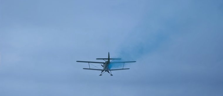 В Курганской области прошла первая гендер-пати на аэродроме. Фото: пресс-служба летного центра «Логовушка»