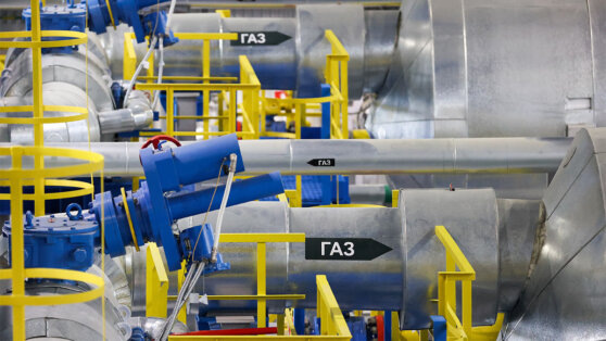    В Еврокомиссии признали, что российский газ продолжает поступать на рынок ЕС Виктория Шварц