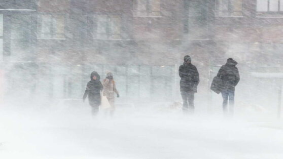    Метель и сильный снег ожидаются в Башкирии Андрей Бурков