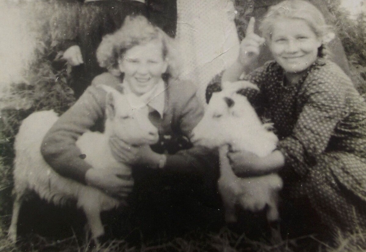 Доярки в Крохино. В первом ряду слева – Хильма Кюхеряйнен, дочь М. А. Кюхеряйнен. Фрагмент фото из архива А. Н. Уткиной (Карпуниной)