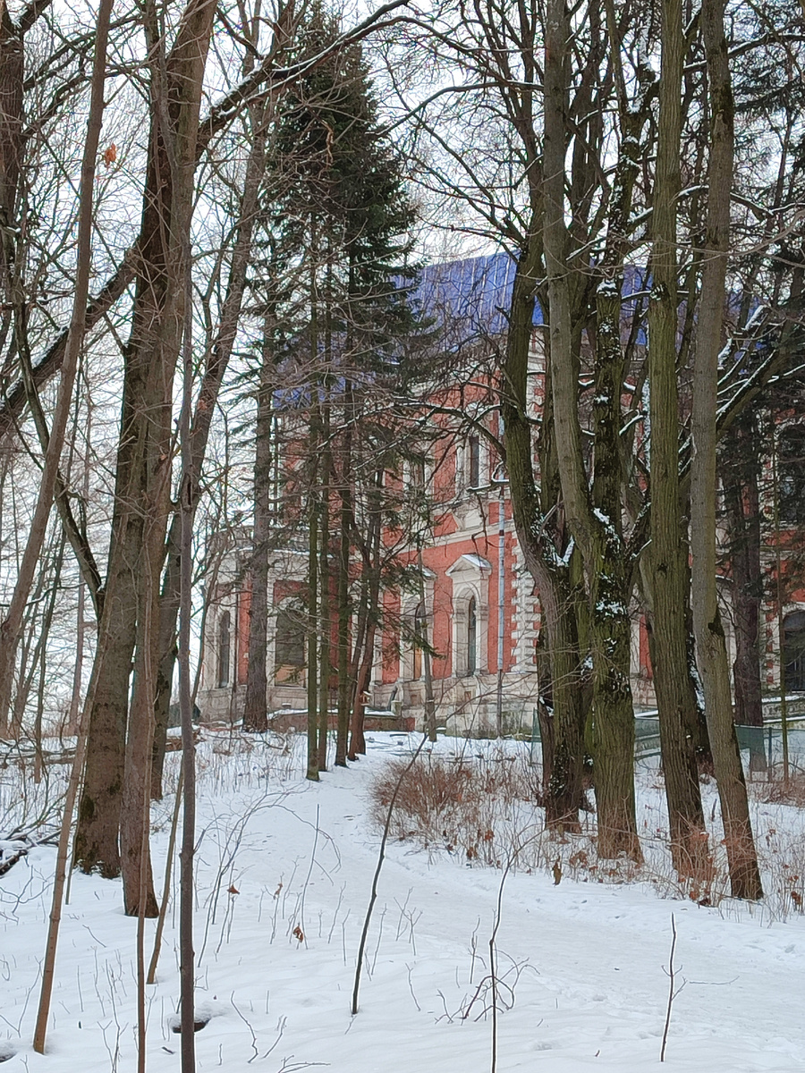 Московская область, Раменский городской округ, село Быково