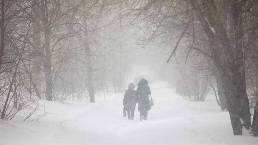    Фото: KazanFirst