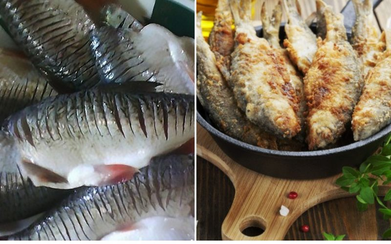 Фото с сайта: https://klev26.ru/wp-content/uploads/e/3/c/e3c84614dd778839ba51971fe395eb1a.jpeg