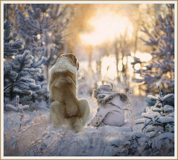 ФОТОГРАФИЯ ОТ ЕЛЕНЫ ШУМИЛОВОЙ  ИЗ ЕЁ СЕРИИ "  ЗИМА "