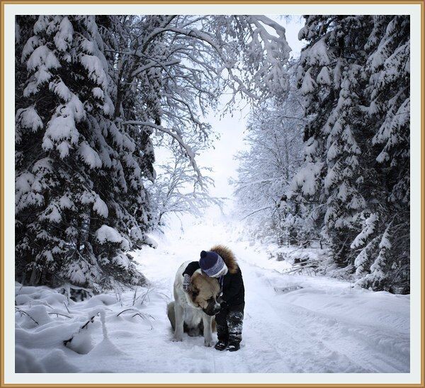 ФОТОГРАФИЯ ОТ ЕЛЕНЫ ШУМИЛОВОЙ  ИЗ ЕЁ СЕРИИ "  ЗИМА "