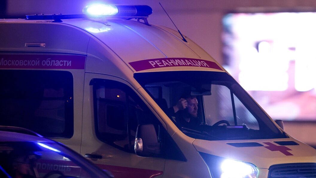    фото: Dmitry Golubovich/Global Look Press